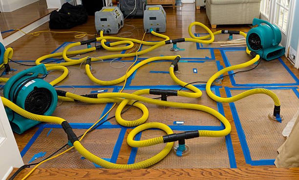 Professional Water Extraction technician working in Columbus Grove, OH